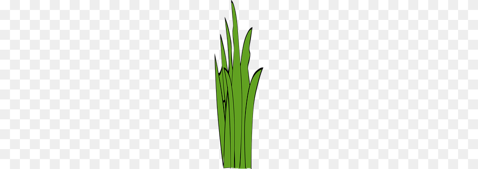 Blades Of Grass Green, Leaf, Plant Png