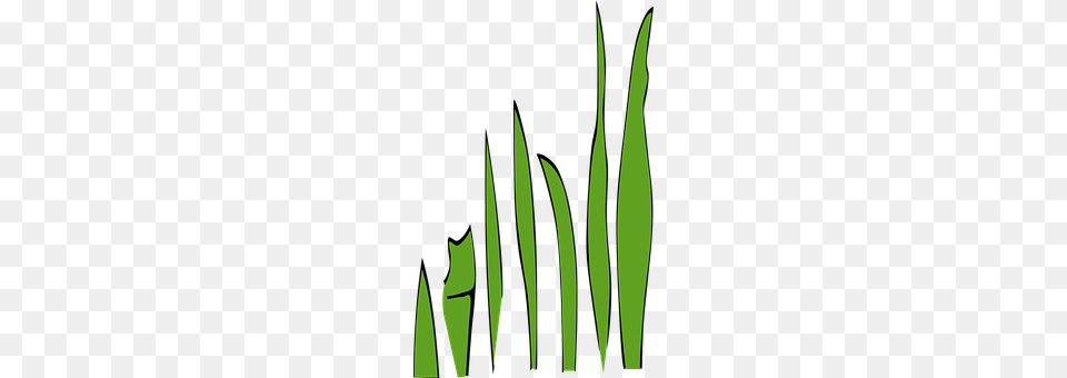 Blades Of Grass Green, Plant, Leaf Free Png