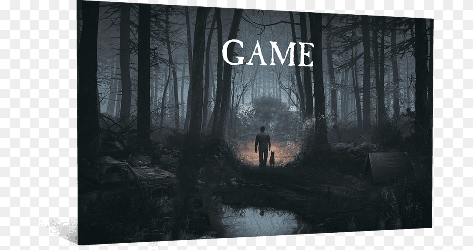 Blair Witch Game Blair Witch, Woodland, Vegetation, Tree, Plant Png