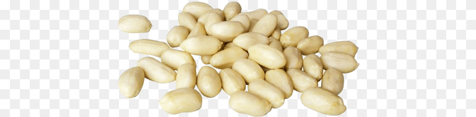 Blanched Peanuts Chinese Factory With Competitive Price Peanut, Food, Nut, Plant, Produce Free Png Download