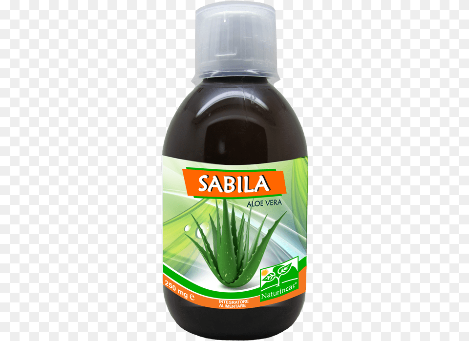 Blank Cicatrizzanti Aloe, Herbal, Herbs, Plant, Can Free Transparent Png