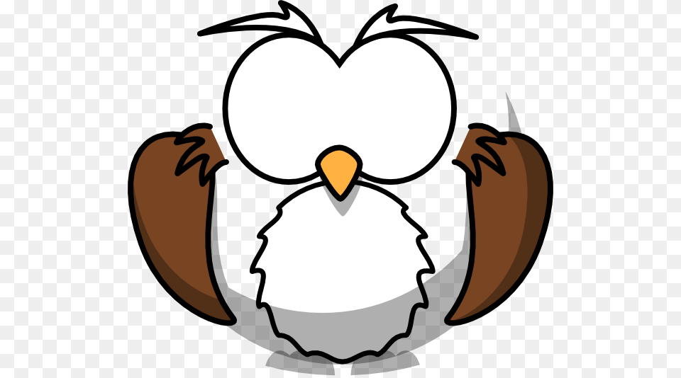 Blank Owl Clip Art, Animal, Beak, Bird, Baby Free Png