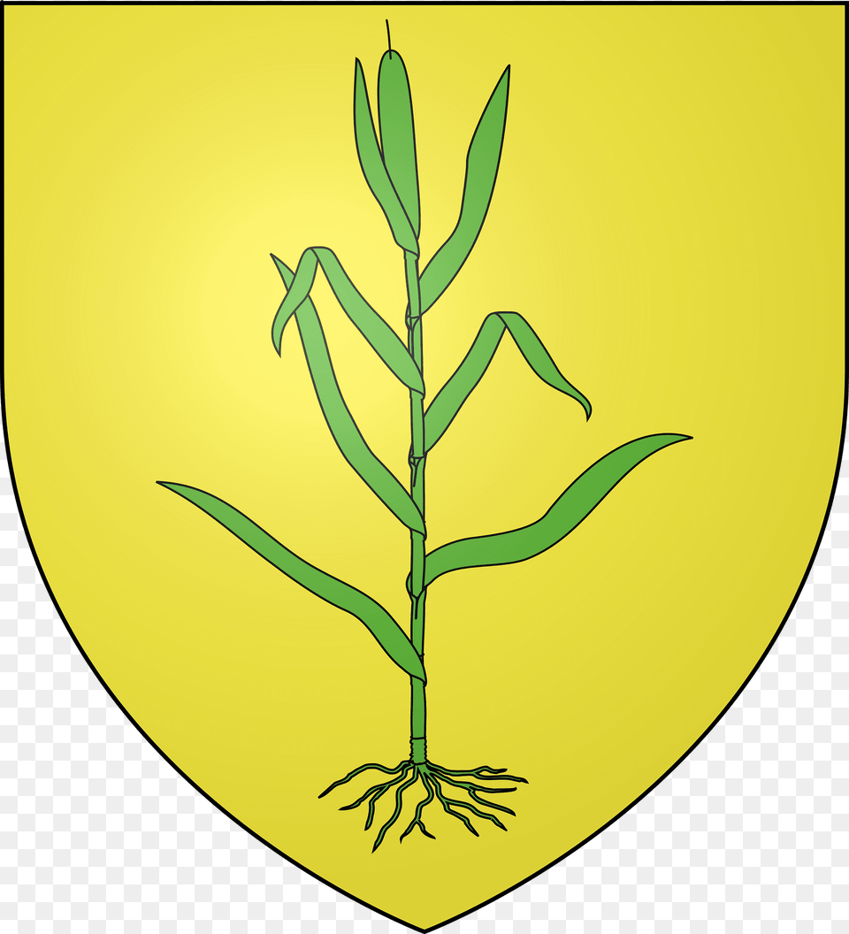 Blason Ville Fr Le Cannet Des Maures Var Clipart, Grass, Leaf, Plant Png Image