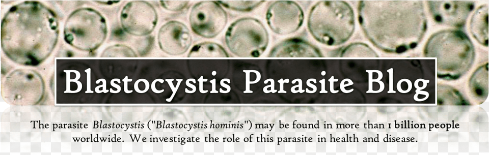 Blastocystis Parasite Blog Blastocystis Hominis Blastocystis Png Image