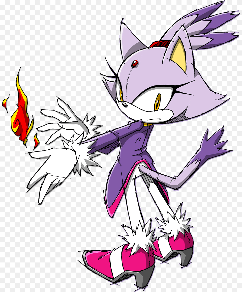 Blaze The Cat, Book, Comics, Publication, Baby Png Image