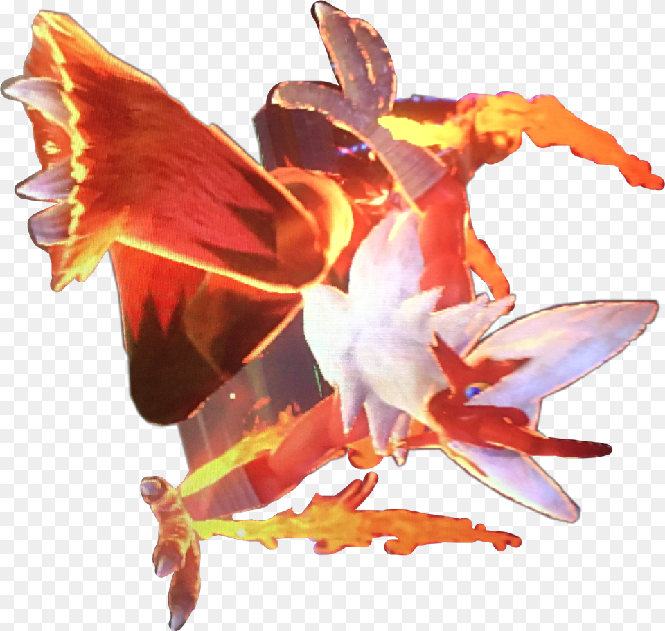 Blaziken Pokemon Tekken Freetoedit Blaziken Art, Person Png