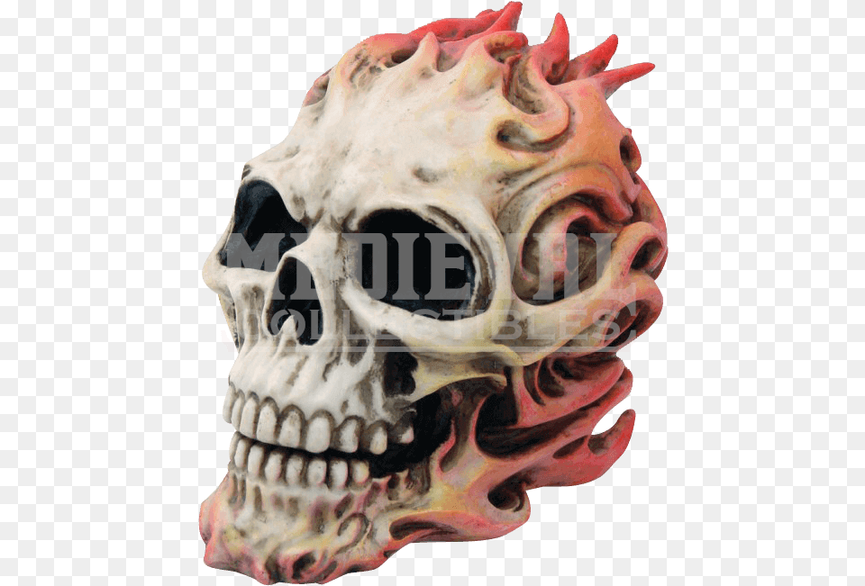 Blazing Fire Skull Pg Trading 9705 20cm Fire Skull, Accessories, Ornament, Animal, Dinosaur Free Png Download