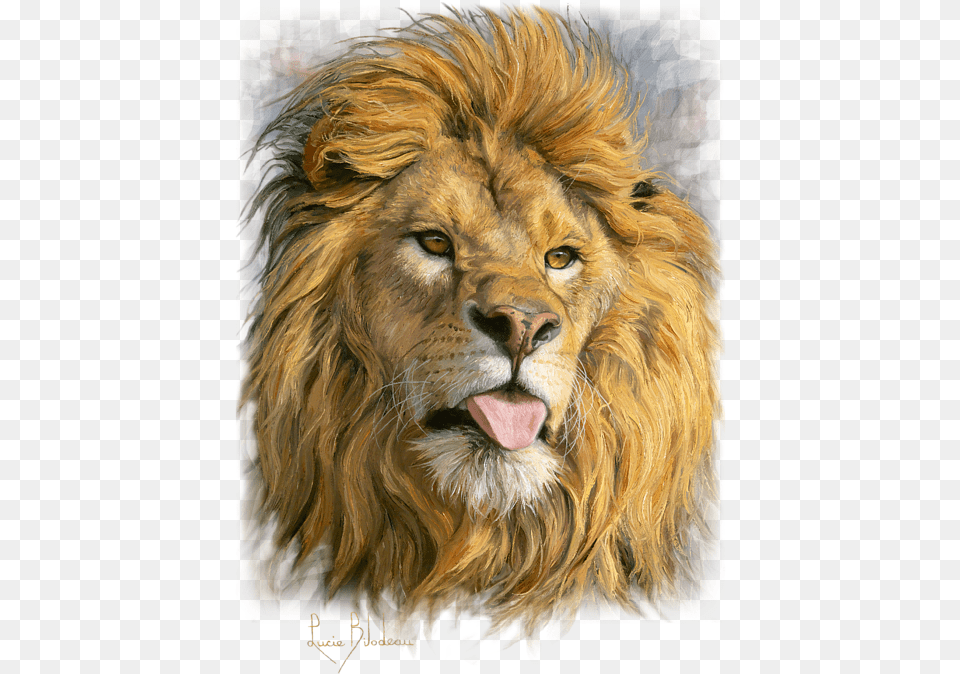 Bleed Area May Not Be Visible, Animal, Lion, Mammal, Wildlife Free Transparent Png