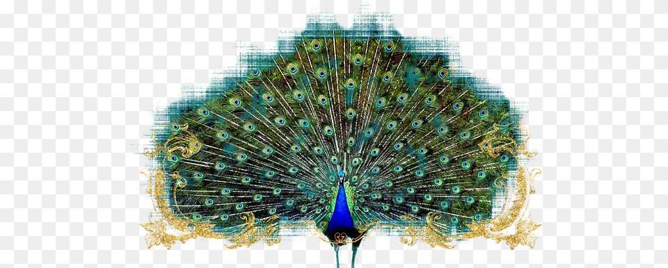 Bleed Area May Not Be Visible Art Nouveau Peacock Painting, Animal, Bird Free Png Download