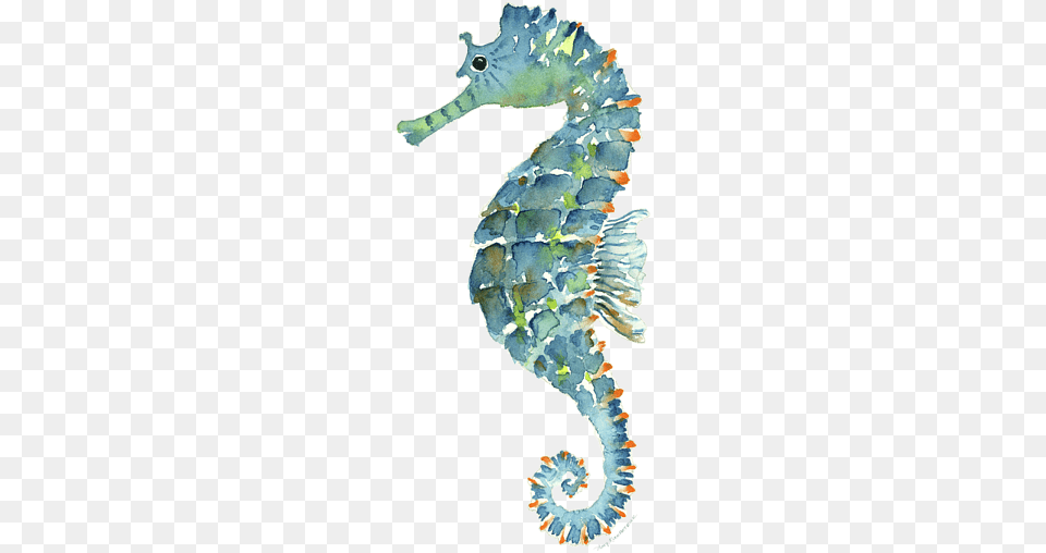 Bleed Area May Not Be Visible Blue Seahorse With Transparent Background, Animal, Sea Life, Mammal, Fish Free Png