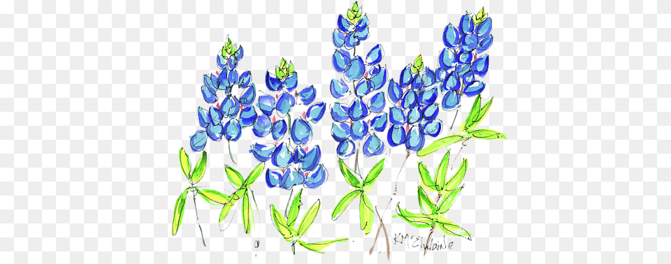 Bleed Area May Not Be Visible Bluebonnet Watercolor, Flower, Lupin, Plant, Chandelier Png