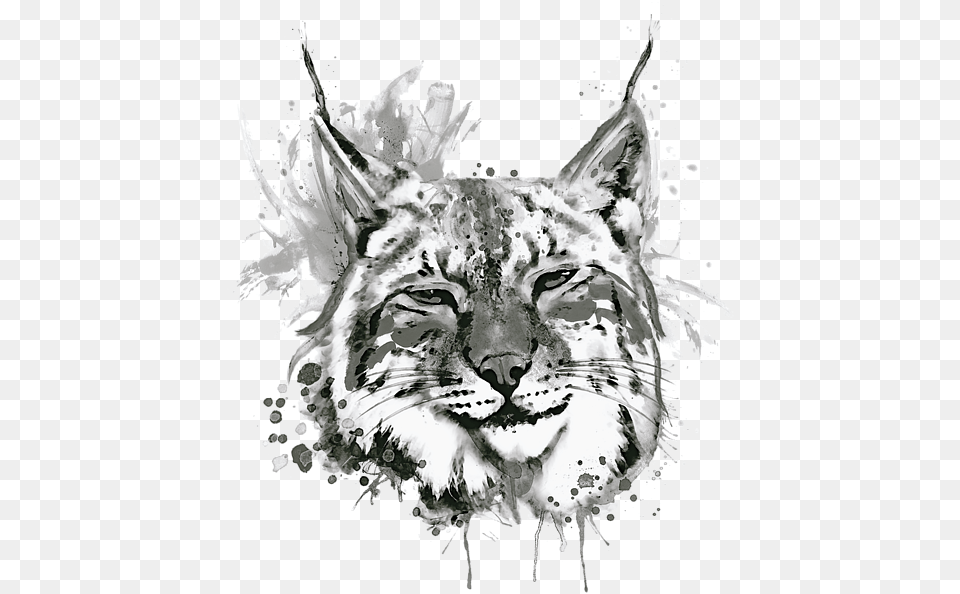 Bleed Area May Not Be Visible Bobcat Head Canvas Print Small By Marianvoicu, Art, Drawing, Animal, Wildlife Png Image
