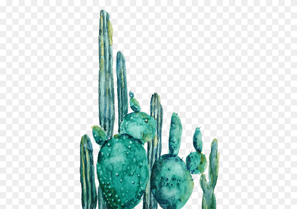 Bleed Area May Not Be Visible Cactus Watercolor Painting, Plant, Nature, Outdoors, Snow Free Png