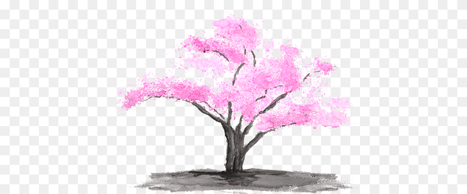 Bleed Area May Not Be Visible Cherry Blossom, Flower, Plant, Tree, Cherry Blossom Png Image