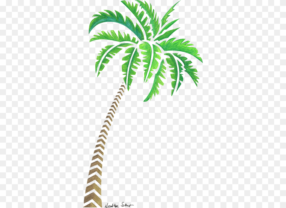 Bleed Area May Not Be Visible Coconut Trees Drawing, Fern, Leaf, Palm Tree, Plant Free Transparent Png