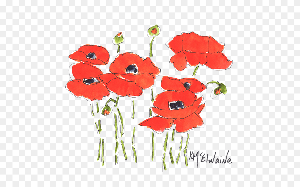 Bleed Area May Not Be Visible Corn Poppy, Flower, Plant, Animal, Bird Free Transparent Png