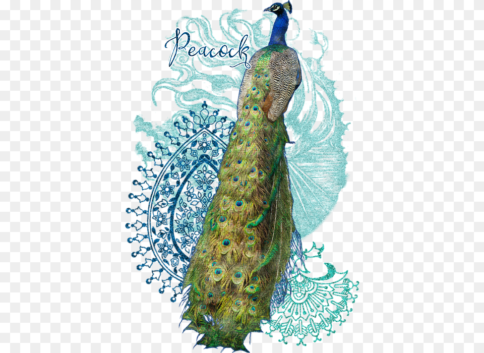 Bleed Area May Not Be Visible Indian Peacock, Animal, Bird Free Png Download