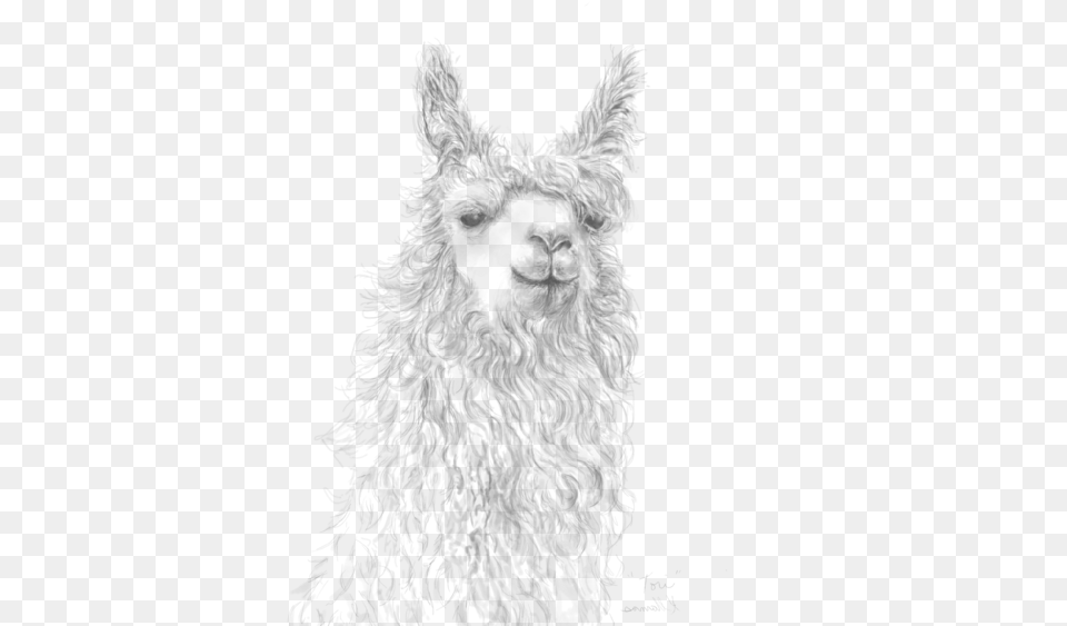 Bleed Area May Not Be Visible Llama, Winter, Snowman, Snow, Nature Png