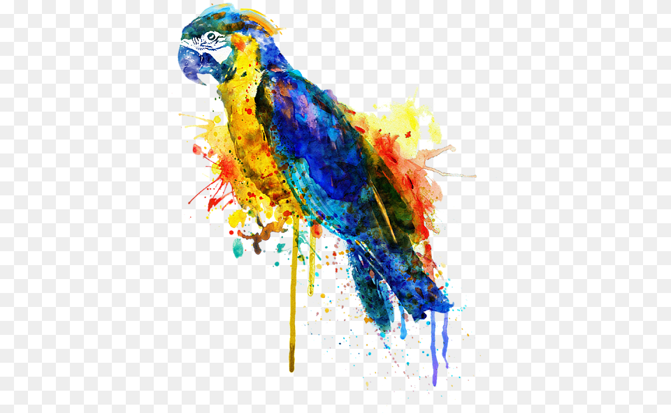 Bleed Area May Not Be Visible Parrot Art, Animal, Bird Png