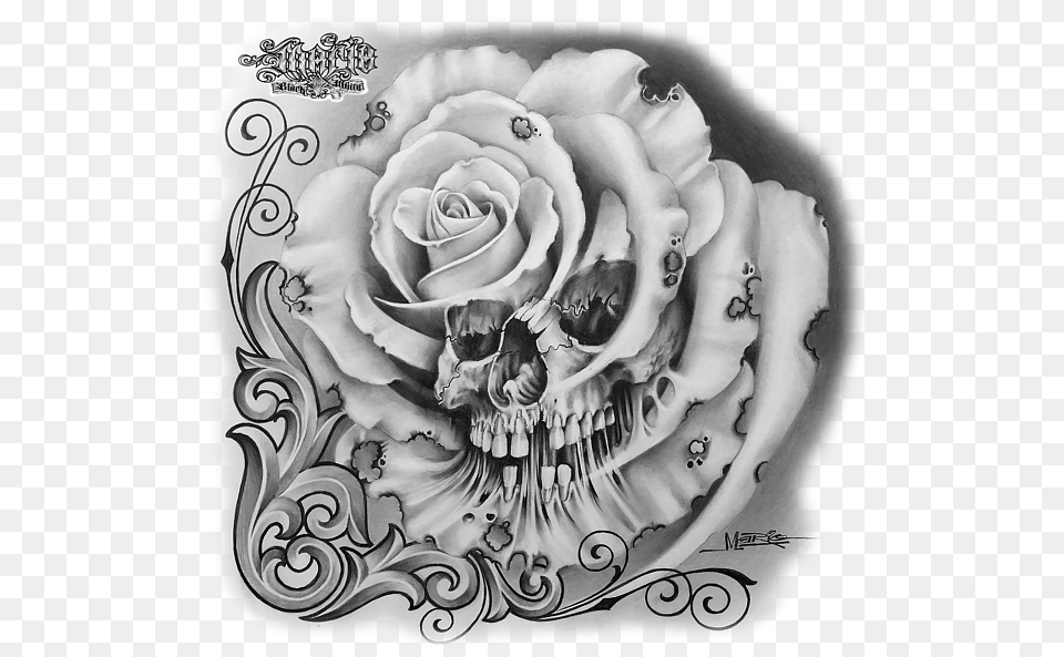 Bleed Area May Not Be Visible Pencil Skull And Rose Drawing, Art, Flower, Plant, Person Free Transparent Png