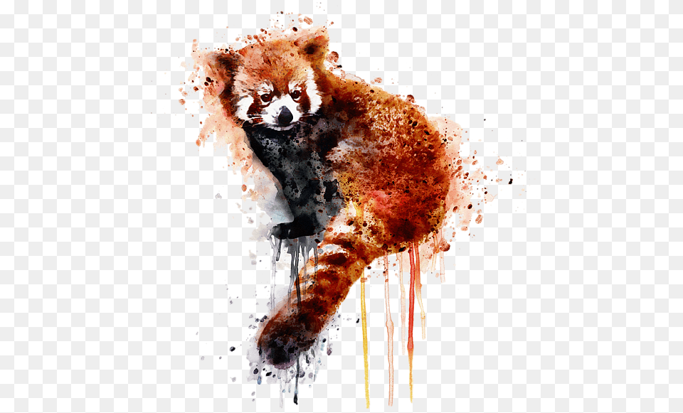 Bleed Area May Not Be Visible Red Panda Artwork, Animal, Mammal, Bear, Wildlife Free Png