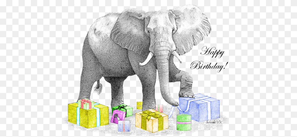 Bleed Area May Not Be Visible Shared Birthday Elegant Card, Animal, Elephant, Mammal, Wildlife Free Png Download