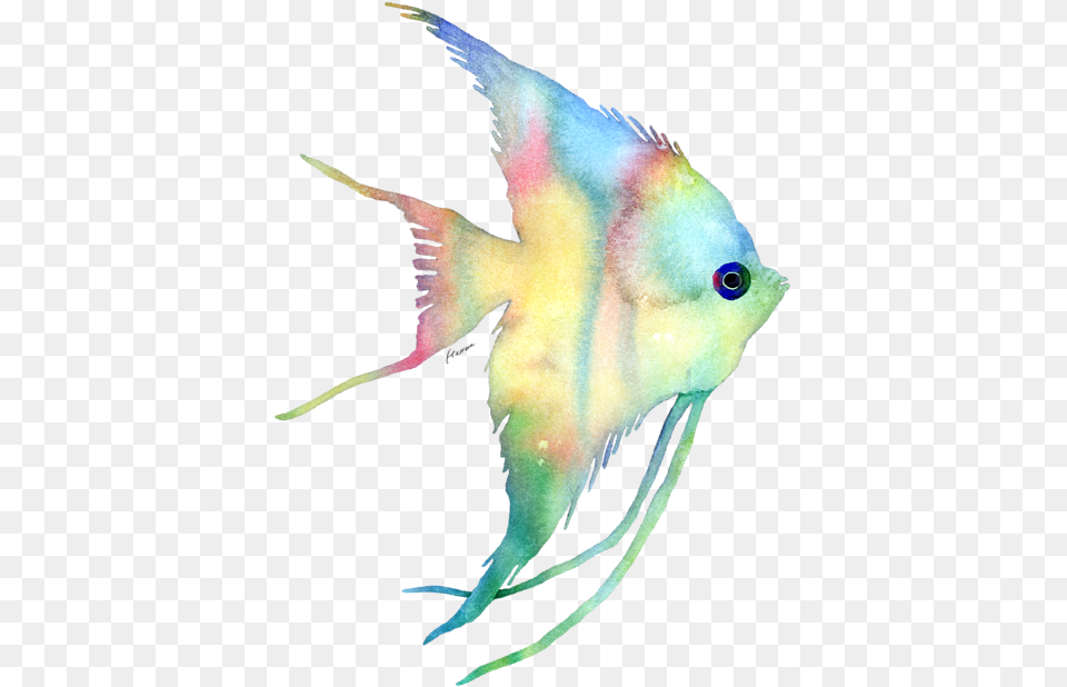 Bleed Area May Not Be Visible Watercolor Fish Transparent Watercoler Fish Backround, Angelfish, Animal, Sea Life, Bird Free Png