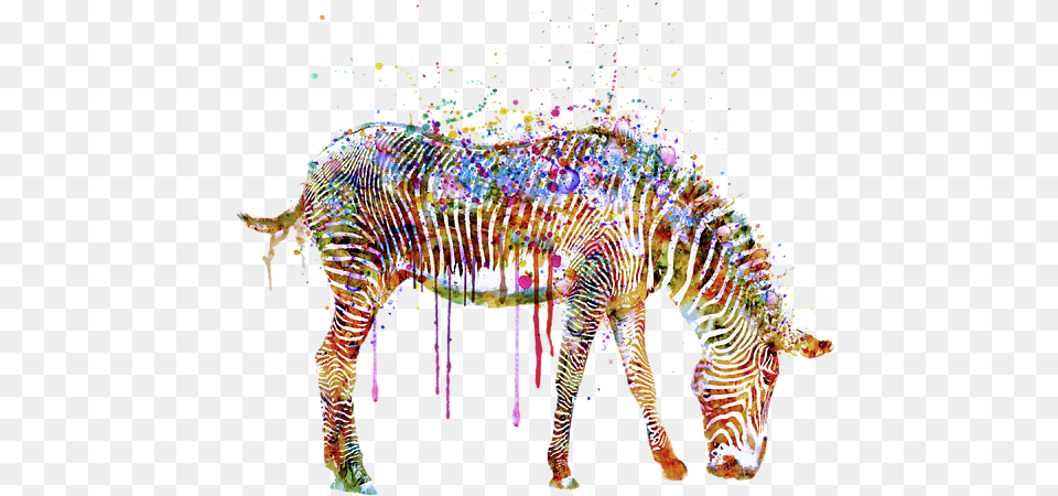 Bleed Area May Not Be Visible Watercolor Zebra, Animal, Mammal, Wildlife, Art Free Transparent Png