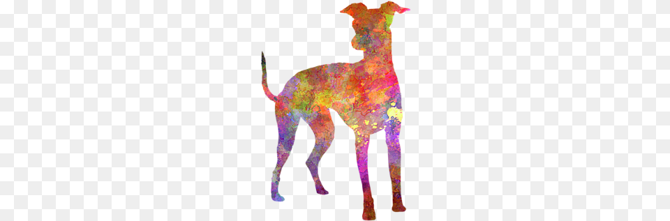 Bleed Area May Not Be Visible Zazzle Italian Greyhound Im Watercolor Ipad Mini Schale, Accessories, Person, Animal, Pet Free Transparent Png