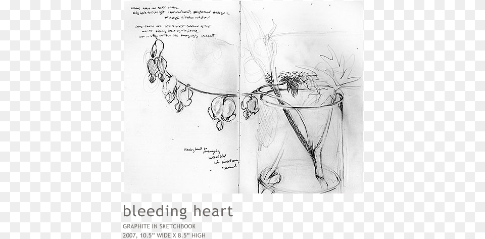 Bleeding Heart, Art, Drawing Png