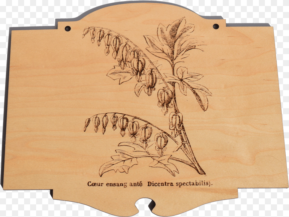 Bleeding Heart Botanical Sign Palm Tree, Plywood, Wood, Plant Free Png