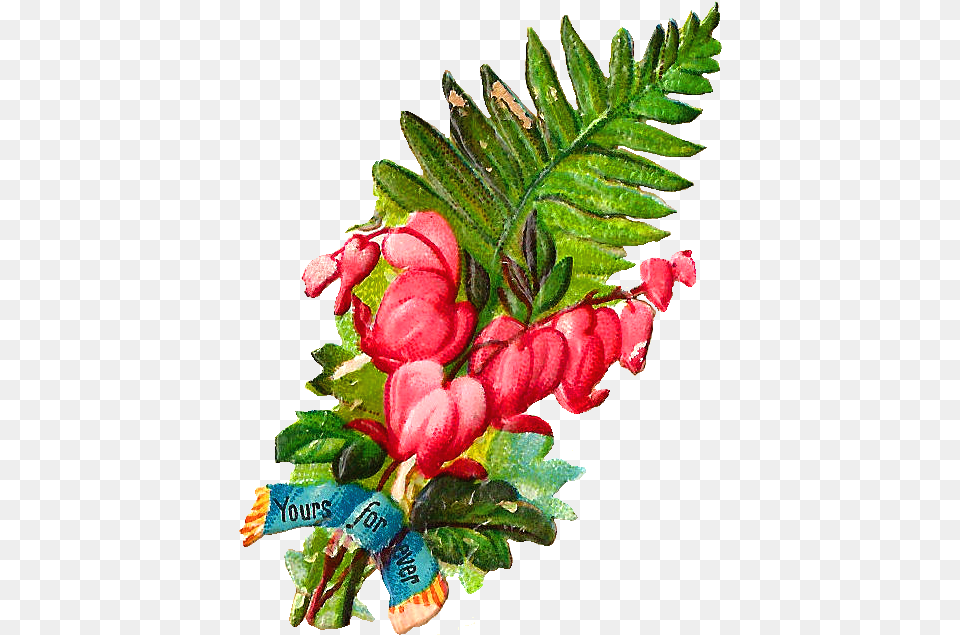 Bleeding Heart Flower Clipart Illustration, Flower Arrangement, Plant, Leaf, Flower Bouquet Free Png