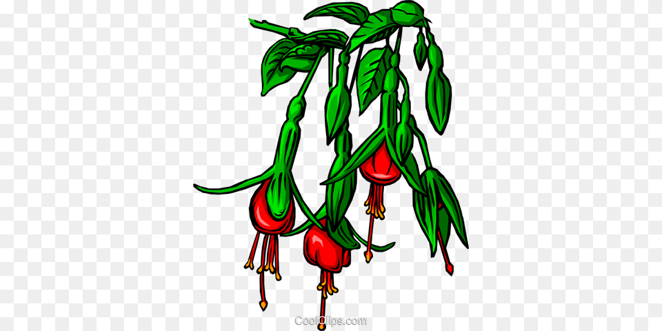 Bleeding Heart Flower Royalty Vector Clip Art Illustration, Food, Produce, Fruit, Plant Free Png