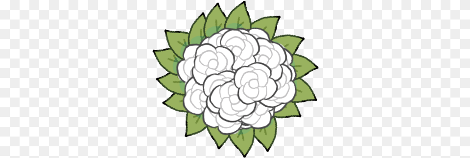 Bless Boquet Carnation, Dahlia, Flower, Plant, Cauliflower Png