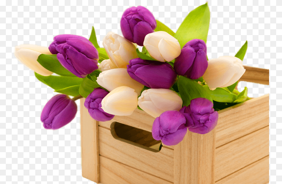 Blessed Monday Morning Blessings, Flower, Flower Arrangement, Flower Bouquet, Plant Free Png Download