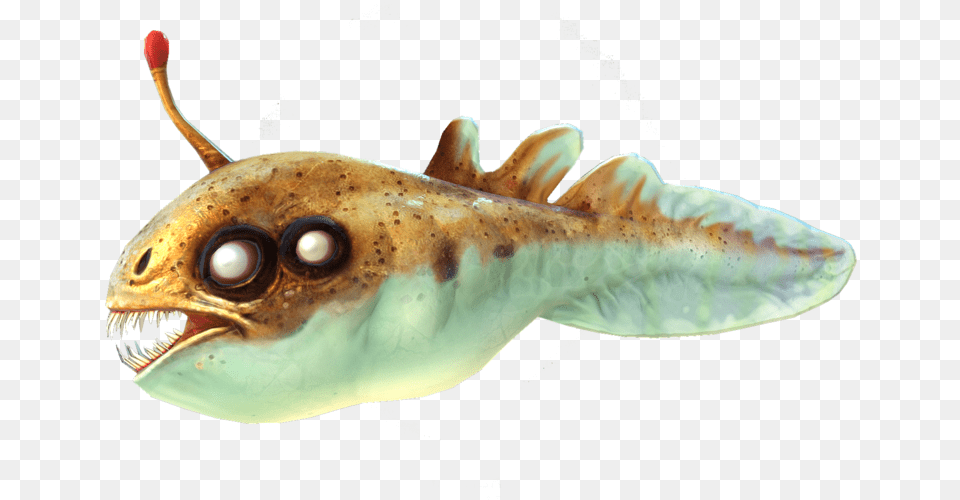 Blighter Species Fandom Powered By Wikia Blighter Alien Cartilaginous Fish, Animal, Sea Life Png