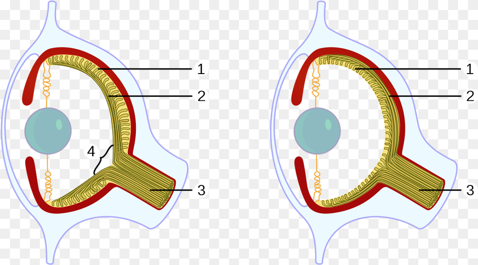 Blind Spot In Eye, Astronomy, Moon, Nature, Night Free Png Download