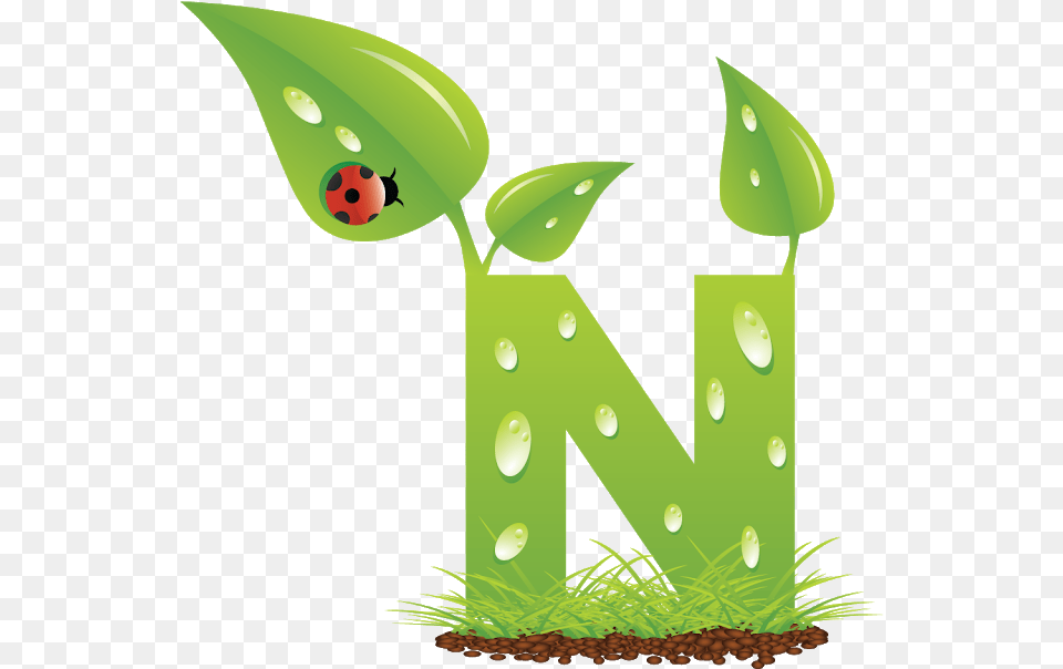 Blindada Por Deus Green, Leaf, Plant, Symbol, Text Free Transparent Png