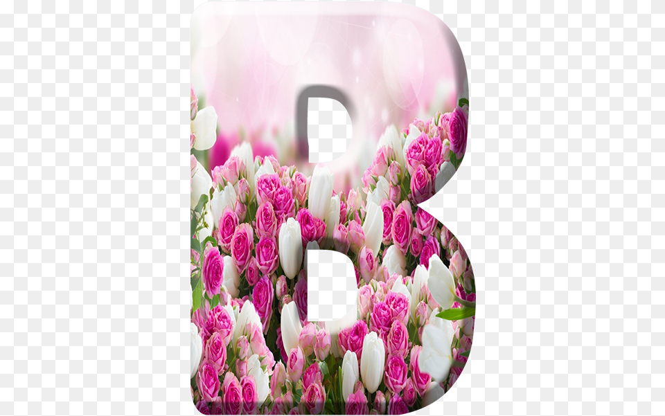 Blindada Por Deus Mobile Phone Case, Flower, Flower Arrangement, Plant, Flower Bouquet Free Transparent Png