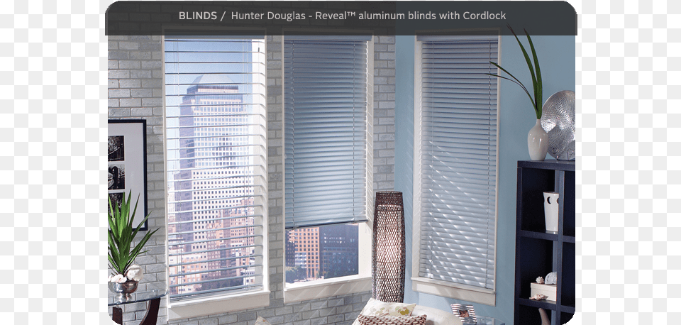 Blinds For Windows, Curtain, Home Decor, Plant, Window Shade Free Png Download