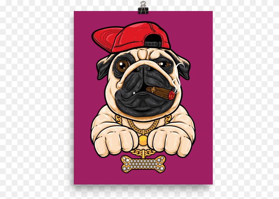 Bling Pug Poster Bulldog Hip Hop, Animal, Canine, Mammal, Dog Free Transparent Png