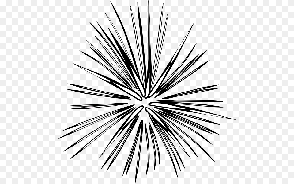 Blk Firework Clip Art, Plant, Fireworks, Drawing Free Transparent Png