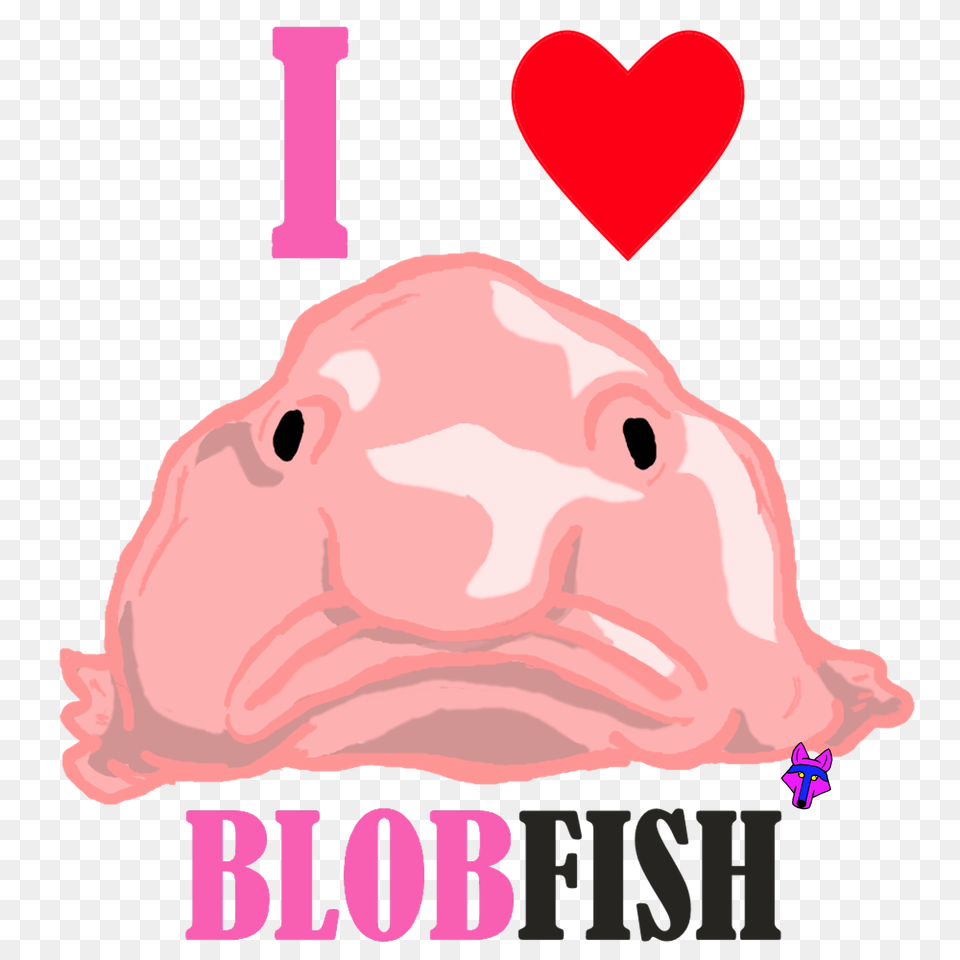 Blobfish Blobfish Fish And Love, Animal, Bear, Mammal, Wildlife Png Image