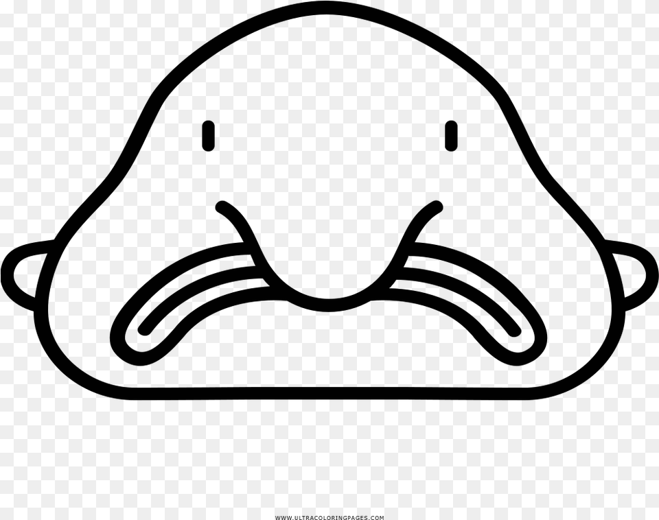 Blobfish Coloring, Person, Pirate Png Image