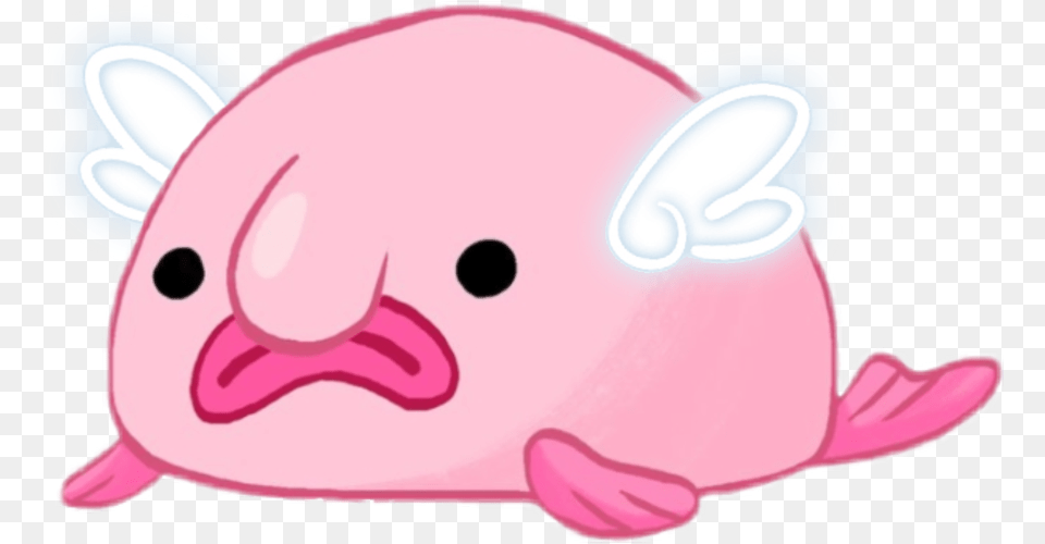 Blobfish Drawing, Animal Png Image