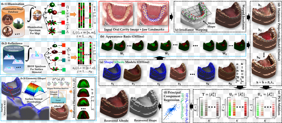 Block Diagram Of The Proposed Model Based Human Jaw Outdoor Shoe, Clothing, T-shirt, Animal, Canine Free Png Download