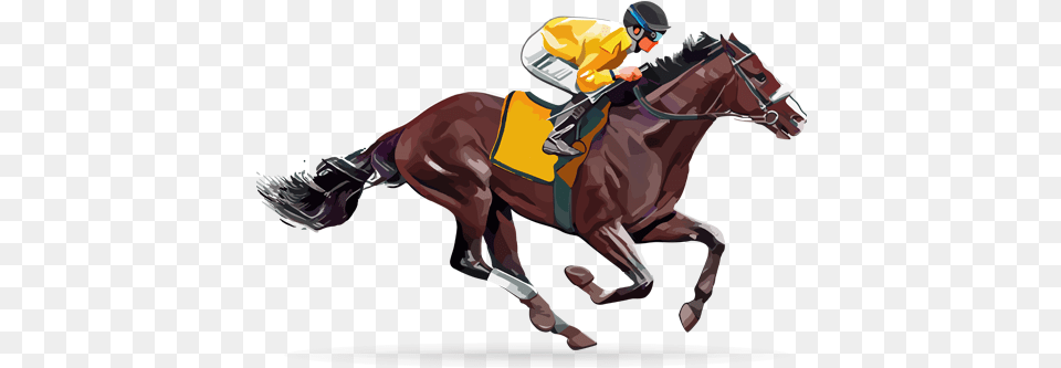 Blockchain Horse Crypto 2018 Belmont Stakes Live, Mammal, Animal, Person, People Free Png Download