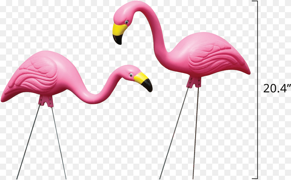 Bloem Living Flamingos Garden Flamingo, Animal, Bird Png