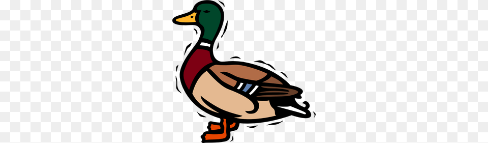 Blog, Animal, Anseriformes, Bird, Waterfowl Png