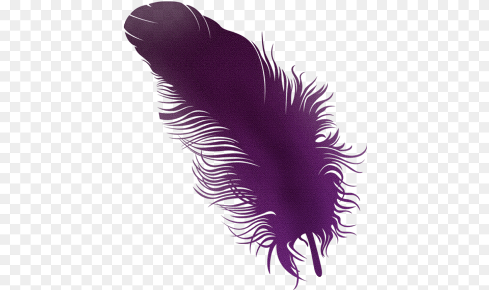 Blog Catlico Plumas De Colores, Purple, Accessories, Person Free Png Download